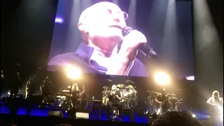 PHIL COLLINS IN CONCERT