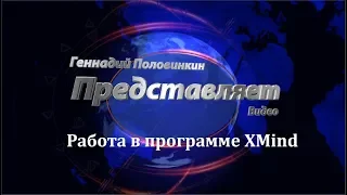 Как работать в программе XMind. Урок 1.