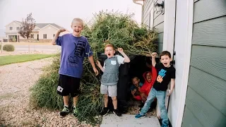 Giant Secret Fort Made Of Weeds