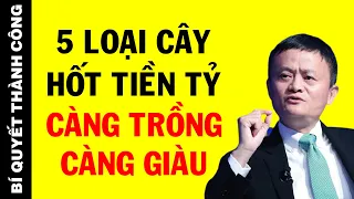 Bất Ngờ Với 5 Loại Cây Trồng KINH TẾ NHẤT Tại Nông Thôn Mà Ít Ai Chịu Làm Giàu