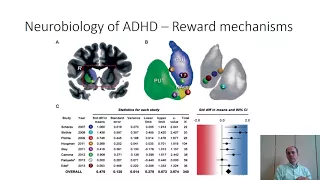 CoCA Webinar on ADHD, obesity and the reward system