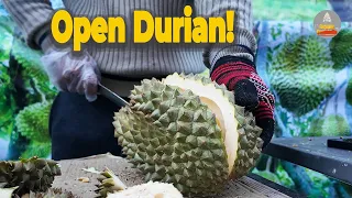 Cutting and Opening Durian Safely and Skillfully