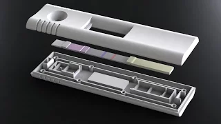 DCN Diagnostics: Lateral Flow Assay Development