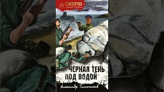 Книга «Черная тень под водой». Автор Тамоников А.А.