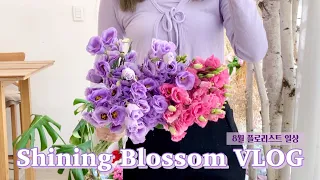 ENG)Florist VLOG: 8월 플로리스트 일상 브이로그 | 꽃다발 포장 | 조화 꽃다발 만들기 | 여름 꽃 | 꽃 도매 시장 | 서울 맛집 투어 | 대장 내시경