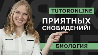 Биология | Высшая нервная деятельность. Сон и бодрствование.