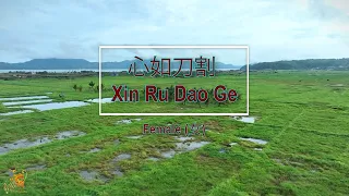 心如刀割 (Xin Ru Dao Ge) Female Version - Karaoke Mandarin