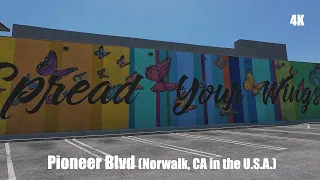 Pioneer Blvd (CA in the U.S.A.)