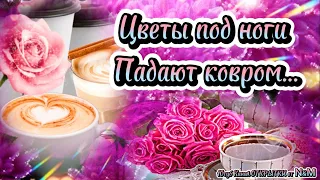 🌹Доброго Дня Отличного Настроения! Открытки Добрый День!