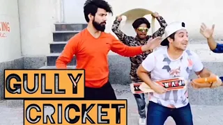 Gully Cricket || Likee || CWC19