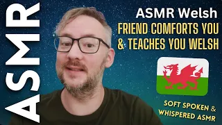 Kind friend comforts you after a tough day & teaches you Welsh [ASMR] (face brushing, soft spoken)