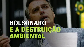 Meio ambiente: qual a política de Bolsonaro?