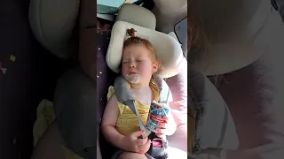 Лев сегодня спит, уснула в машине, The lion sleeps today, fell asleep in the car, eats in the car