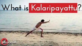 What is Kalaripayattu 🥋 - KalariLAB - Centre of training in Kalaripayattu and Kalari Chikitsa