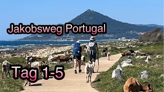 Jakobsweg Portugal 2023 - Reiseführer | Film Teil 1 von 3 zum Camino Portugues da Costa (Küstenweg)