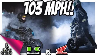 FASTEST Grom vs Z125 and DankWheelie