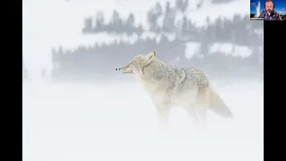 Yellowstone Through The Seasons