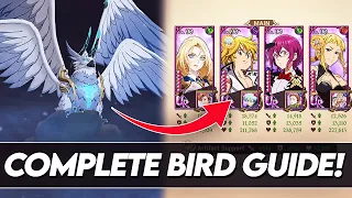 MELIODAS IS THE *BEST* FOR BIRD!!! Complete Bird Guide! *Stages 1-3* (7DS Guide) 7DS Grand Cross