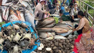 Thai-Lao market That Phanom , bullfrog mushrooms from the Lao food at Nakhon Phanom Thailand