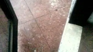 Hail in Baguio