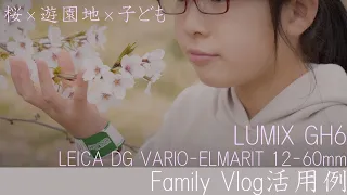 桜×遊園地×子ども。 LUMIX GH6 LEICA DG VARIO-ELMARIT 12-60mm Family Vlog 活用例