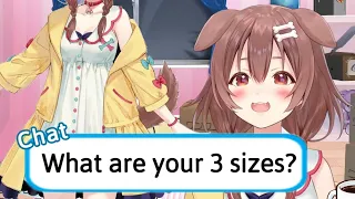 Korone Doesn't Hesitate to Answer When Chat Asks About Her 3 Sizes [Hololive]