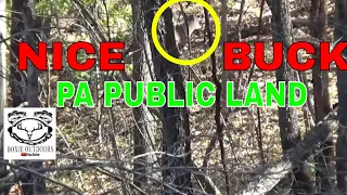 PA Public Land Deer Hunt, 2021 ep.13 Nov, 6 Shooter Spotted #publiclandhunting #archeryhunting