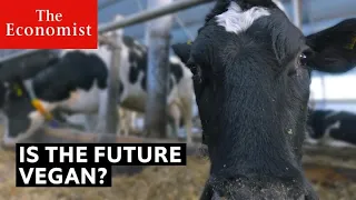 How could veganism change the world?