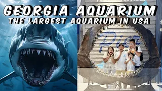 The Largest Aquarium in USA. Georgia Aquarium. Full Tour 2024 NEW