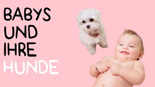 Beschützen, Spielen und Kuscheln: Babys und ihre Hunde - witzige Babys und Hunde - tierische Freunde