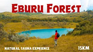 "Discovering Eburu Forest: Kenya's Hidden Gem of Hiking and Renewable Energy"