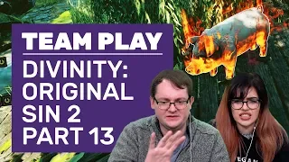 Let's Play Divinity: Original Sin 2 | Part 13: Burning Pigs