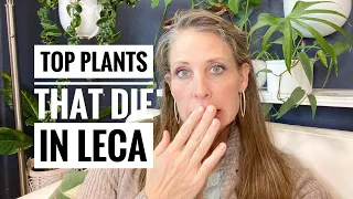 TEN PLANTS YOU WILL KILL IN LECA | well, maybe you won't but I HAVE #semihydroponics #lecalife