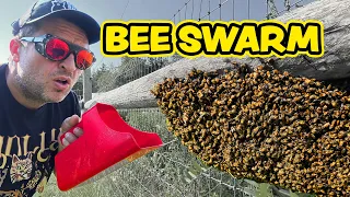 Epic Failures in Beekeeping