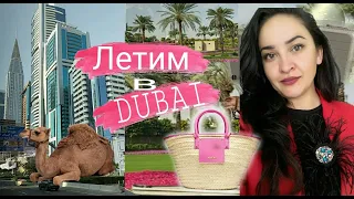 Летим в #Dubai.Что из Одежды и Сумок беру с собой?Новые Чемоданы.