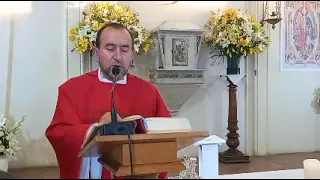 Evangelio del día según San Lucas 21,1-4 Lunes 22 de Noviembre de 2021.