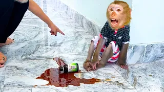 Monkey Kaka's Regret: A Tale of Spilled Diem's ​​cough syrup