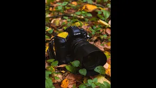 Сравнение Canon 5D Mark IV vs Canon R6