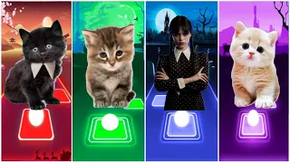 CUTE CATS WEDNESDAY LADY GAGA BLOODY MARY 🌟 BLACKPINK LISA MONEY 🌟 JISOO FLOWER