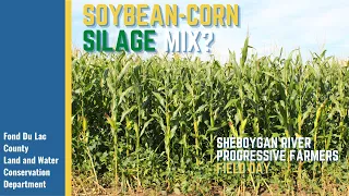 Soybean-Corn Silage Mix?