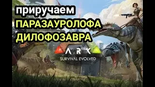 ARK: Survival Evolved Приручаем ПАРАЗАУРОЛОФА И ДИЛОФОЗАВРА