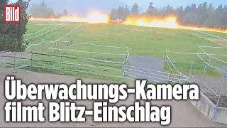 Feuerwand nach Blitz-Einschlag auf Pferdekoppel