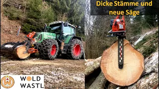 Holzrücken mit dem Traktor und einer neuen Säge