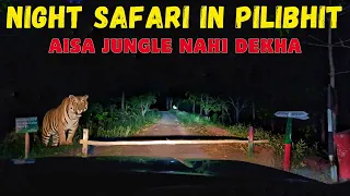 Night Safari in Pilibhit Tiger Reserve | Tiger ki itni tagdi movement