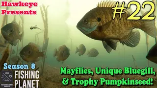 Fishing Planet #22 - S8 - Mayflies, Unique Bluegill,& Trophy Pumpkinseed!