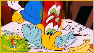 Woody Woodpecker Show | Bavariannoying | 1 Hour Compilation | Videos For Kids