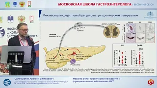 Охлобыстин Алексей Викторович Мозаика боли  хронический панкреатит и функциональные заболевания ЖКТ