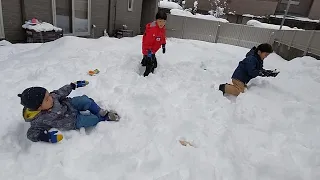 雪遊びしてたらお菓子とミカンが降ってきたよ　餅まき　＃1637　ひなごんおいちゃんどんちゃん三兄弟vlog