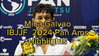 Mica Galvao IBJJF 2024 Pan Ams Highlights