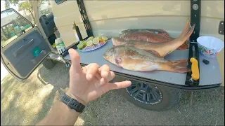 Spearfishing coral trout at the old local coral garden ( CATCH AN COOK ) ceviche style.